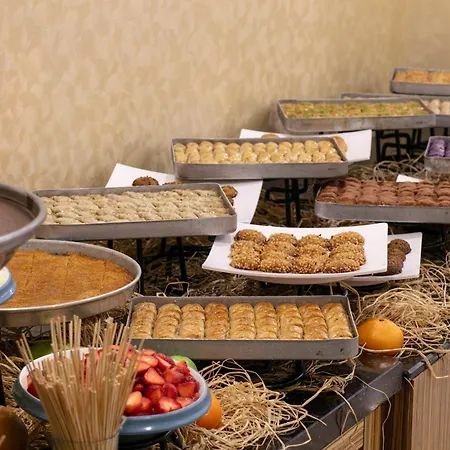 אתר נופש Megasaray